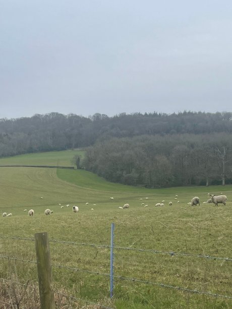 Middle Piccadilly Rural Retreat-官方