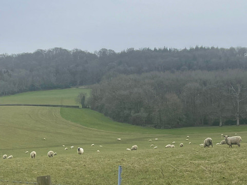 Middle Piccadilly Rural Retreat主图