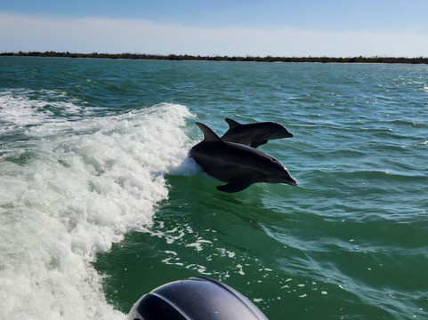 Boats And Fun-North Captiva Island必去景点