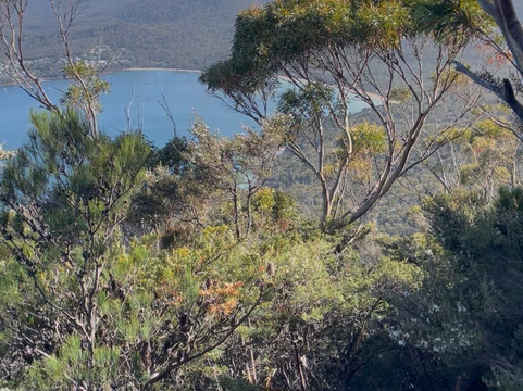Mt Amos Climb-科尔斯湾必去景点