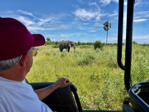 Gomoti Plains Camp - Machaba Safaris-官方