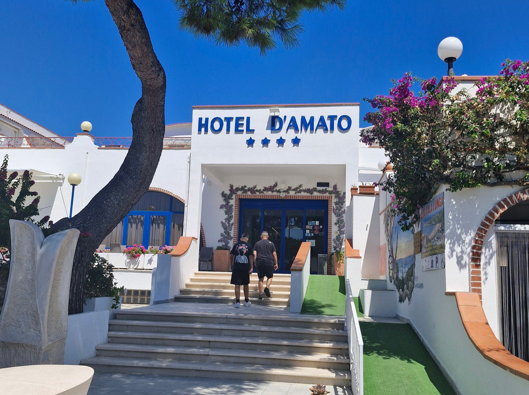 达马托酒店主图