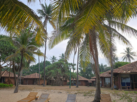 隆威利度假村酒店主图
