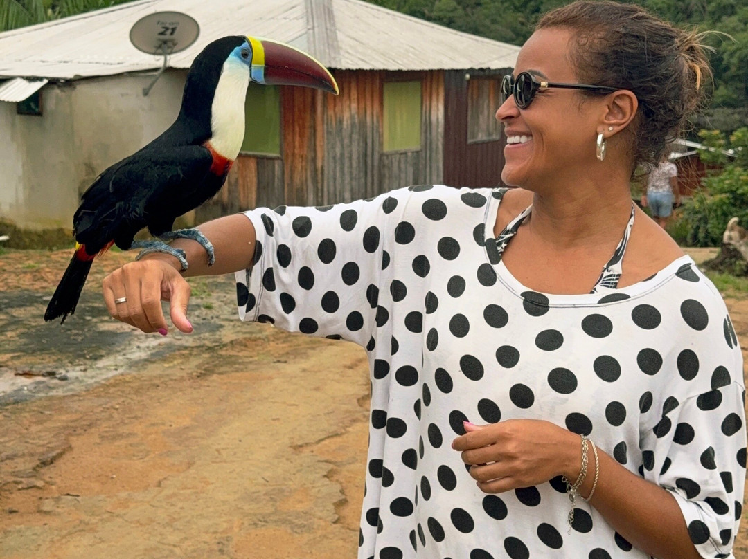 Receptivos Manaus-玛瑙斯必去景点