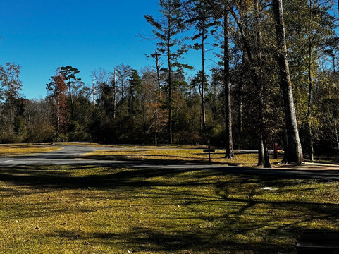 Tickfaw State Park-Springfield必去景点