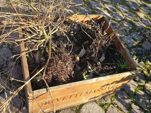 AZIENDA AGRICOLA RIVETTI MASSIMO-Neive必去景点