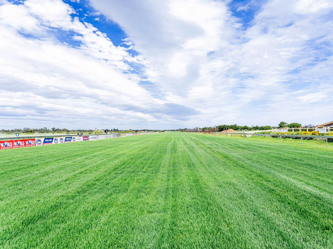 Fairview Racecourse-伊丽莎白港必去景点
