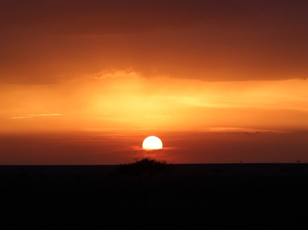 Ongeri Expeditions-Luxury Safaris-Karen必去景点