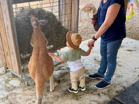 Animal Edventure Park-博因顿海滩必去景点