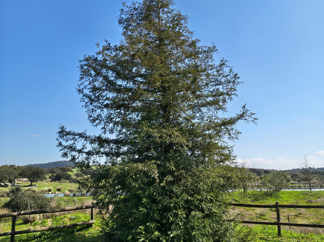 Gastro Dehesa-梅里达必去景点