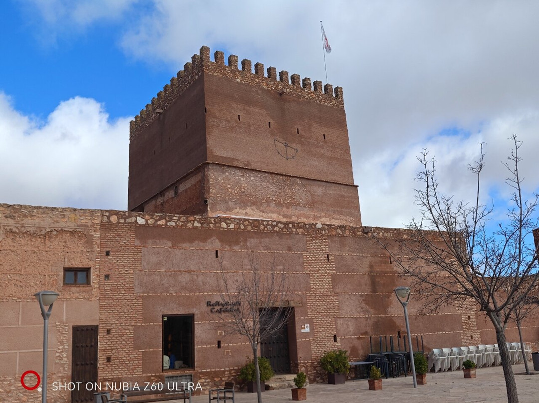 Castillo De Manzanares-曼萨纳雷斯必去景点