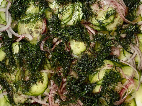 The Piano Boat-乌克斯桥必去景点