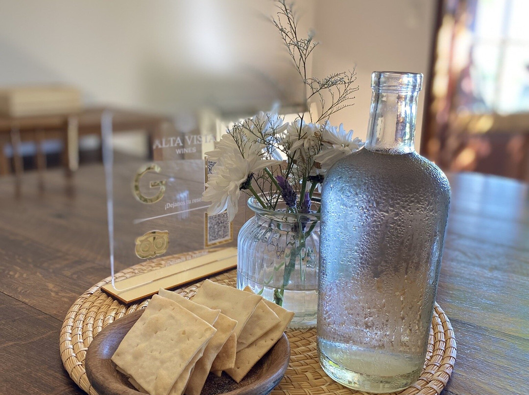 SAK Wine & Travel-门多萨必去景点