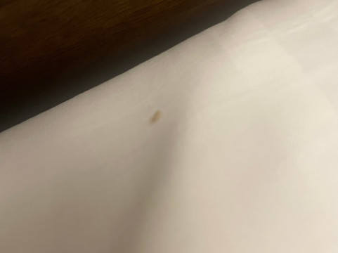 杜兰特乔克托 度假村主图