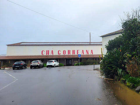 Plantações de Chá Gorreana-Maia必去景点