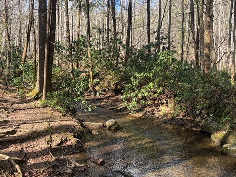 Cataract Falls-大雾山国家公园必去景点