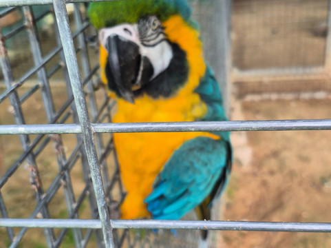 Quinta Fotoplanet Farm-阿尔布赞拉必去景点