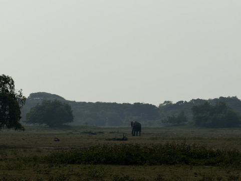 Southern Wild Safari-蒂瑟默哈拉默必去景点