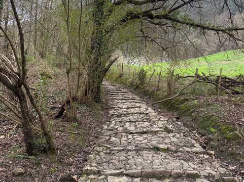 Cave of El Castillo-Puente Viesgo必去景点