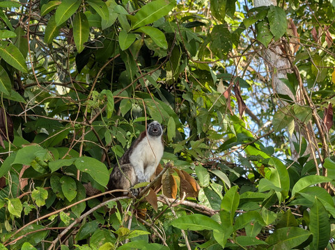 Panama Road Trips-巴拿马城必去景点