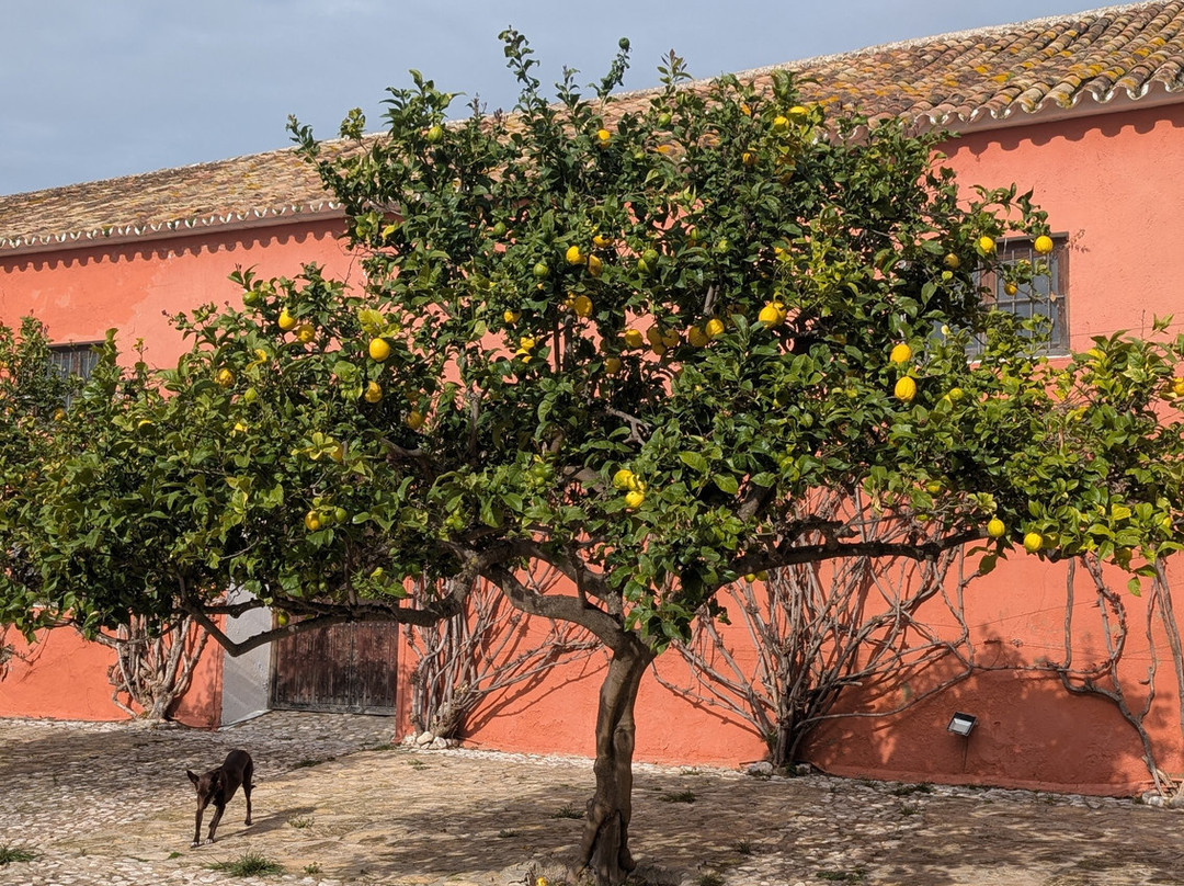 Molino de las Pilas主图