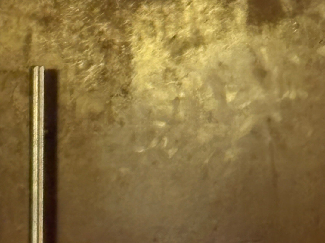 克里斯琴斯堡 I-81 舒适套房酒店主图