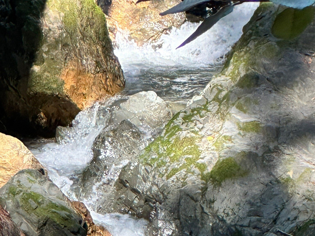 Armstrong Redwood State Reserve-Guerneville必去景点