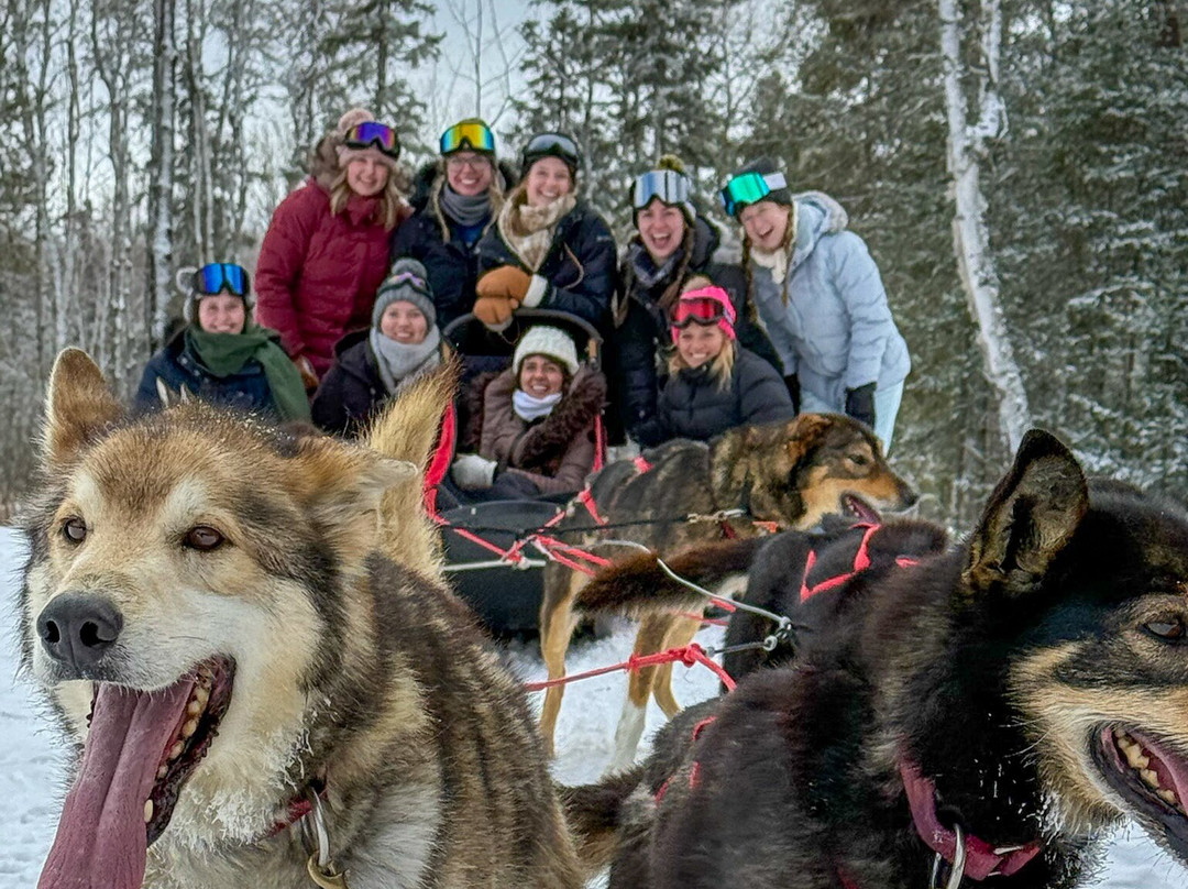 Chilly Dogs Sled Dog Trips-伊利必去景点