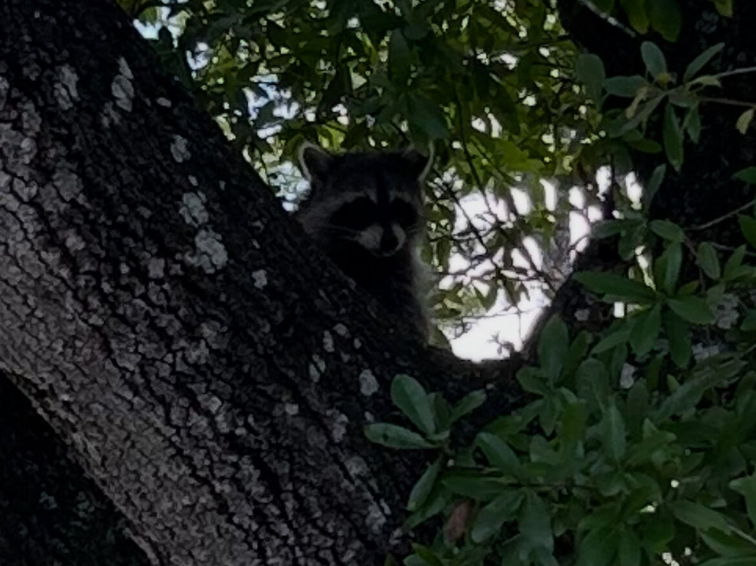 Babcock Ranch Preserve-蓬塔戈尔达必去景点