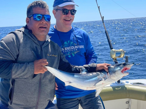 Kingfish Cabo-卡波圣卢卡斯必去景点