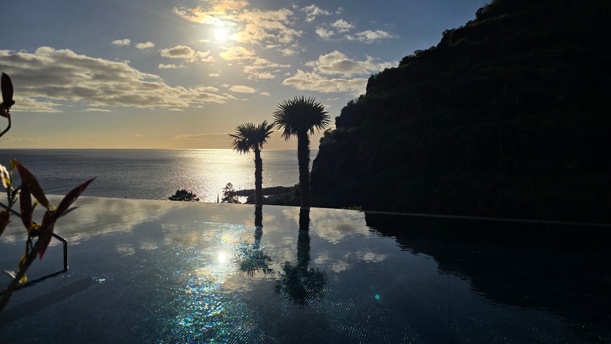 Saccharum度假村-官方