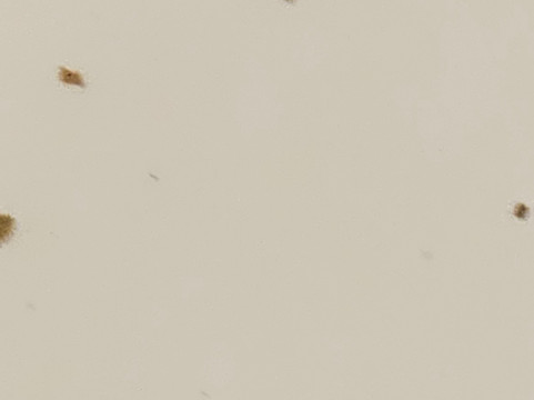 阿尔斯特柯莱特酒店主图