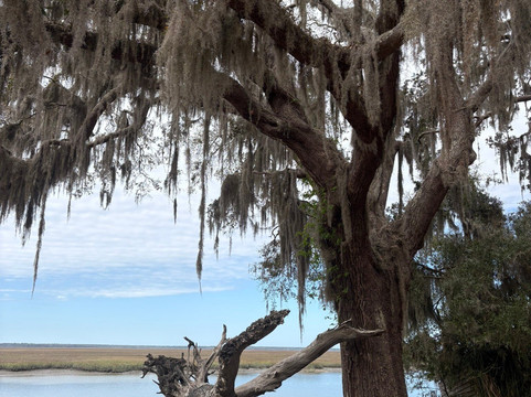 The Lands and Legacies Tour-Cumberland Island必去景点