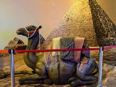 Dreams Park Show-伊瓜苏必去景点