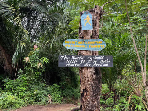 Asante Bibi Safaris And Tours-莫西必去景点