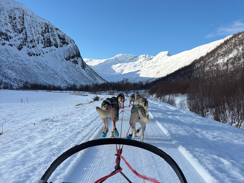 Kvaløya Husky-特罗姆瑟必去景点