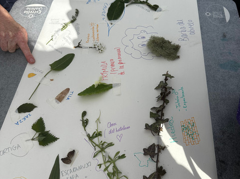 Asturias conVivencias-Nava必去景点