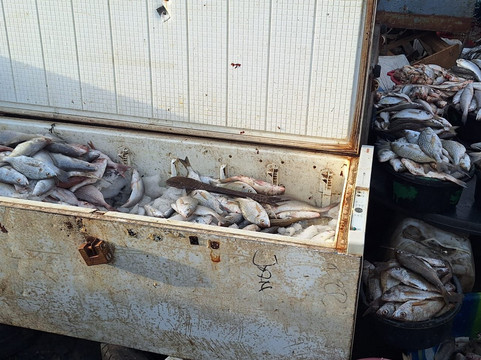 Tanji Fishing Village-Tanji必去景点