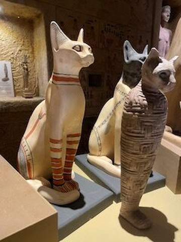 Tomb Of The Pharaohs-凯恩斯必去景点