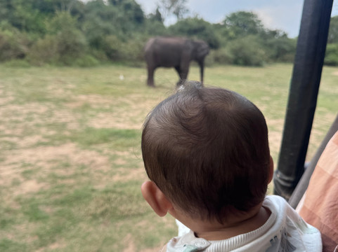 Visit In Lanka-尼甘布必去景点