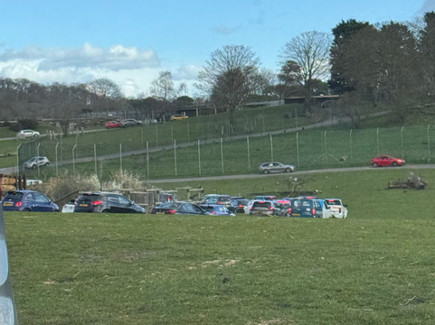 West Midlands Safari Park-Bewdley必去景点