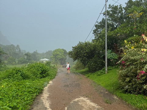 Afareaitu Waterfalls-Afareaitu必去景点