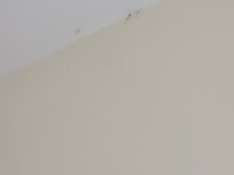 伊拉迪亚酒店主图