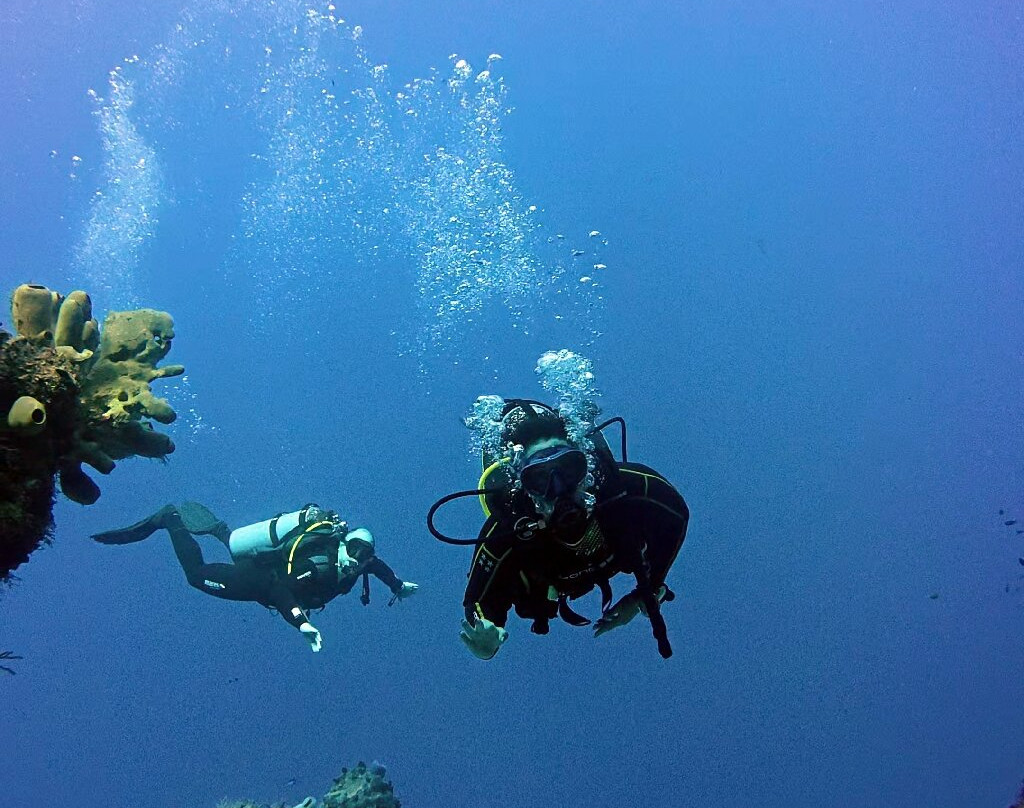 Remi Diving in Mexico-普拉亚德尔卡曼必去景点