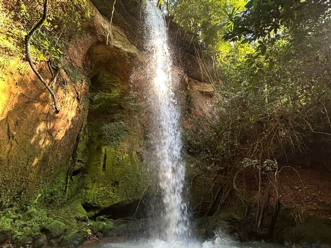 Nascentes do Rio Taquari State Park-Costa Rica必去景点