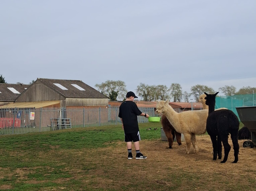 Billing Aquadrome-北安普敦必去景点