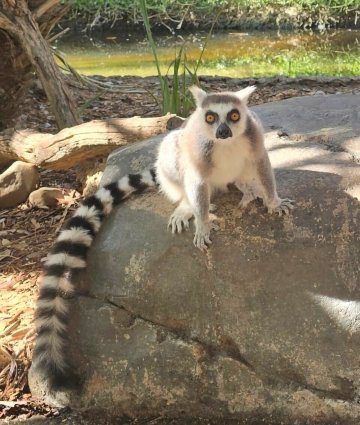 哈朗加纳洛奇酒店-官方