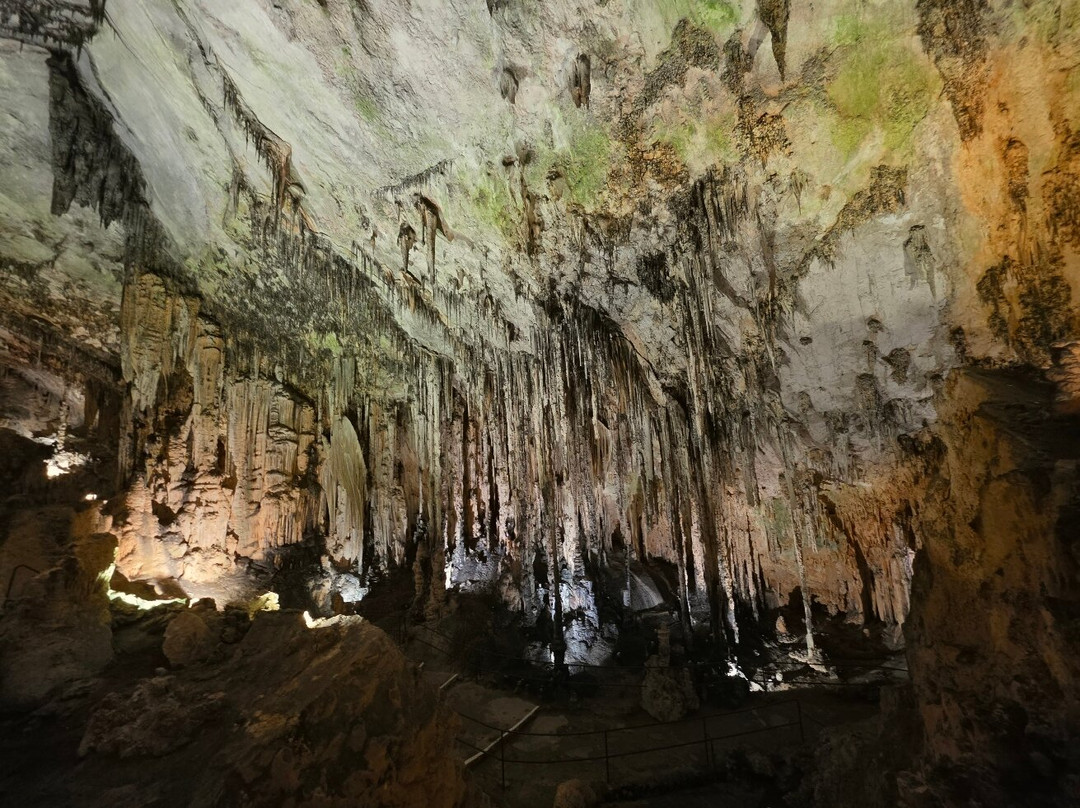 Cuevas de Arta