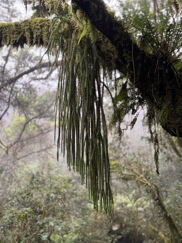 Dél-afrika-mozambik-尼斯普鲁特必去景点