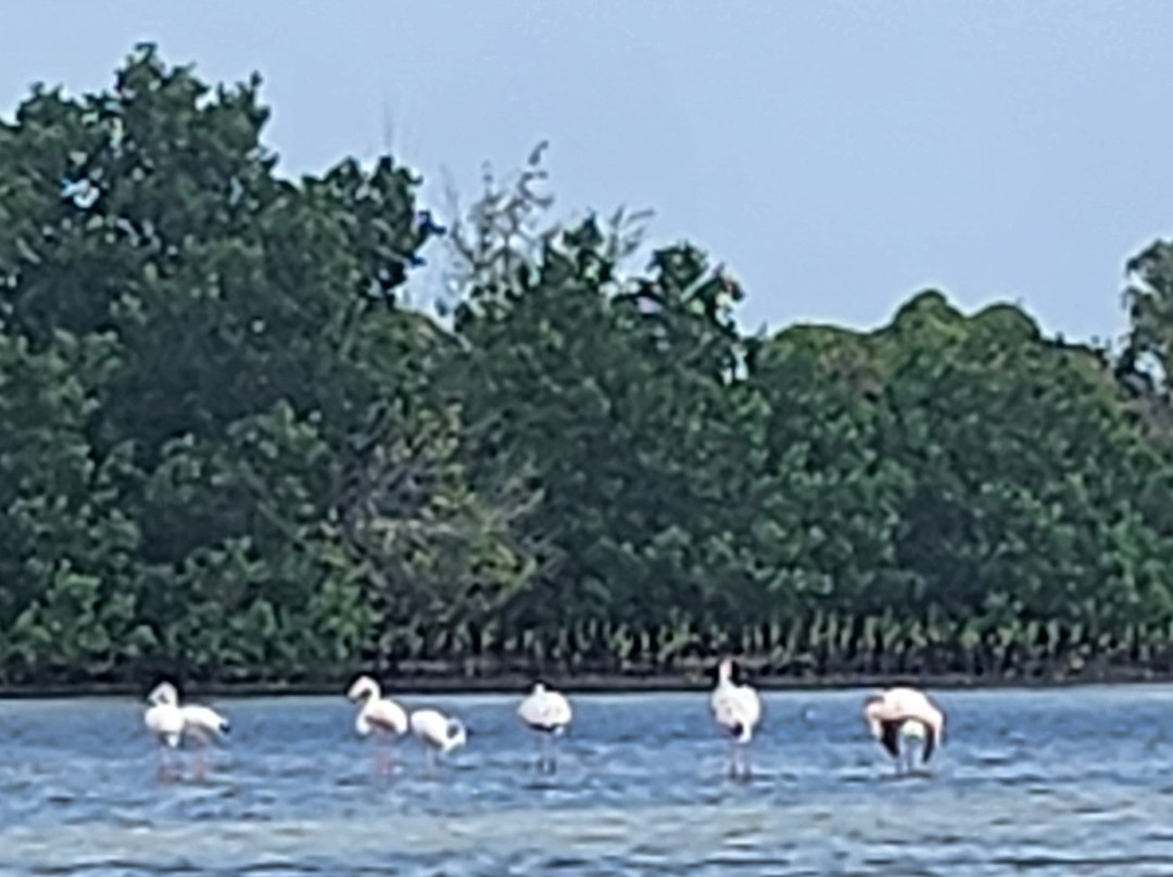 Jacarondo Safari Kenya-瓦塔木必去景点
